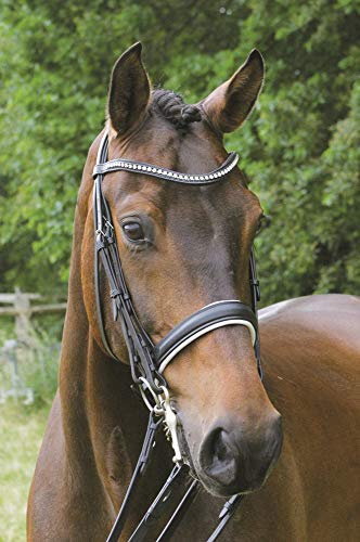 Hans Melzer Horse Equipment Kandare Hamburg, schwarz/silber, Vollblut