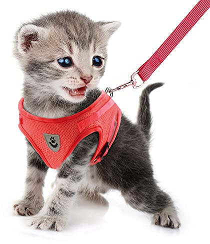 FEimaX Imbracatura e Guinzagli Set per Cani, Pettorina Imbottita a Morbida per Cuccioli e Gatti, Imbracature di Traspiranti Regolabili Riflettenti per Camminare, Corsa, Allenamento
