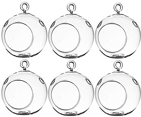 WGV Hanging Terrarium Globe, Width 3, Height 4, DIY Air Succulent Planter, Clear Glass Vase Orb with Flat Bottom, Candle Holder for Windowsill Outdoor Garden Decor, 6 Pieces Bulk