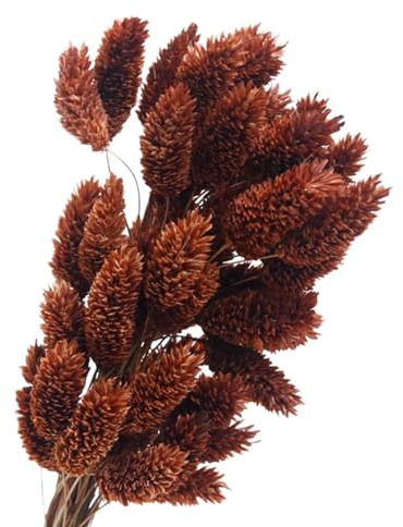 Sharplace Bouquet di Fiori Secchi, Composizioni Floreali, Decorazioni Autunnali, Fiori Secchi Decorativi per La Tavola di Casa, Feste Fai Da Te, marrone