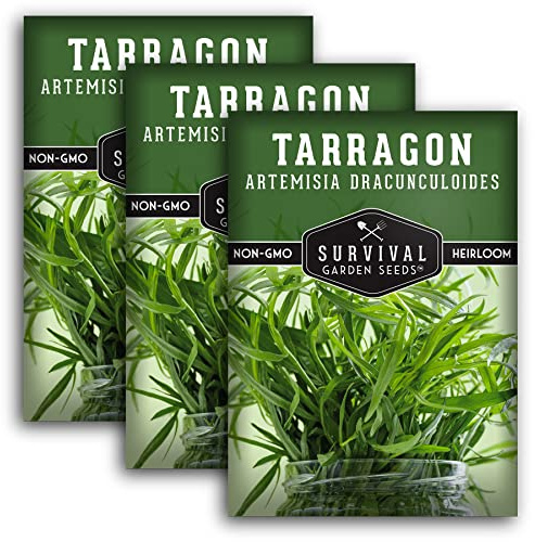 Russian Tarragon Seeds for Planting - Plant & Grow Big Flowering Herbs in Your Home Vegetable Garden - Non-GMO Heirloom Variety - Survival Garden Seeds (3 Packs)
