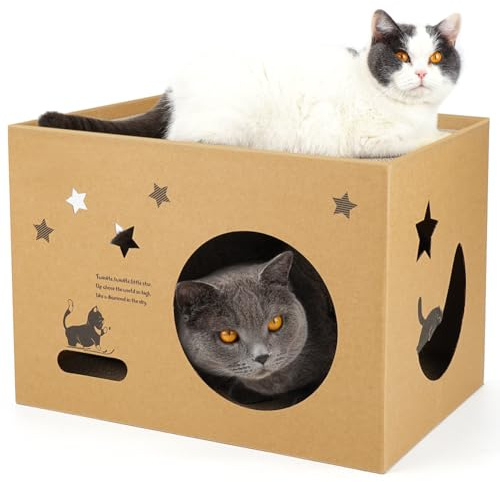 Grande maison en carton pour chat (43 x 30 x 30 cm), griffoir 2 en 1 avec 2 griffoirs, lit de salon robuste en carton ondulé et niche pour chats d'intérieur