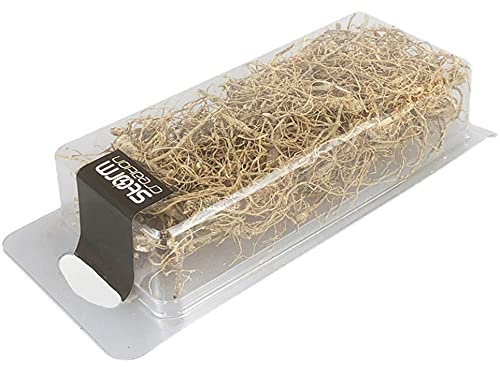 Tiardey vignes sèches, Branches sèches,vignes,Racines sèches pour modèles de Plantes artificielles,Tables de Sable,scènes de Train Miniatures,scènes de Guerre Miniatures