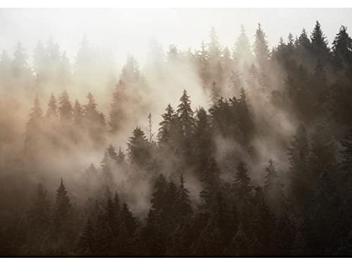 Runa Art Fototapeten 396 x 280 cm Wald Nebel - Vlies Wanddekoration Wohnzimmer Schlafzimmer - Deutsche Manufaktur - orange 9552012b