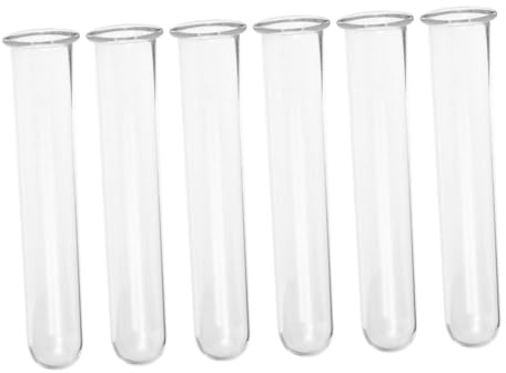 INOOMP 6 Piezas Tubos de de Vidrio para Plantas Jarrón Vintage Transparente para Flores y Propagación Hidropónica Tubos Pequeños para Terrarios Coración Resistentes Diseño Minimalista