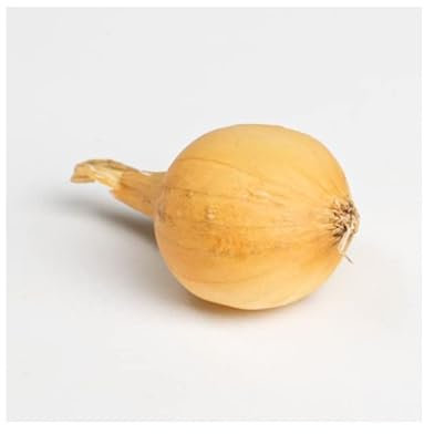 Jaune paille des vertus Bulbes d'Oignons a repiquer 500gr