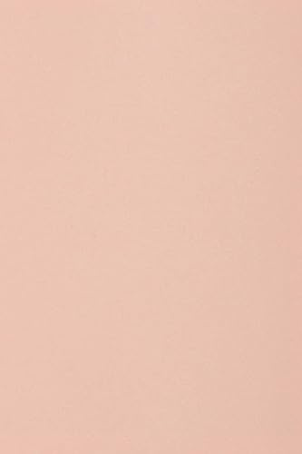 Netuno 10 x ljusrosa kartong A3 297 x 420 mm 250 g Burano Rosa färgad kartong Utskrivbart kartong för gör-det-själv inbjudningskort, gratulationskort, menyer