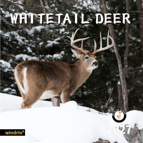 2026 2027 Wall Calendar,Calendar 2027, November 2026 - December 2027, Wall Calendar Whitetail Deer, 12 x 24 Opened,Full Page Months Thick & Sturdy Paper for Gift Perfect Calendar Organizing & Planning