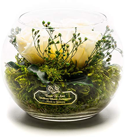 Rosen-Te-Amo |Konservierte Blumen-Arrangement, duftend, weiß handgemacht mit echten Foliage Geburtstagsgeschenk für Frauen, Rosen Geschenke für Mama|Blume zum Weihnachten, Valentinstag, Muttertag
