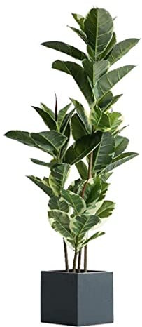 CVNIMV Kunstpflanzen Kunstpflanze Nordic Greenery Plant Kunstbaum Pflanze Gummibaum Indoor Bonsai Kunstbäume Grünpflanze Home Office Dekoration Artif