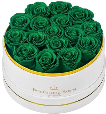 16 Preserved Roses Forever Flowers Real Roses in a Box Mother's Day Birthday Flowers for Her Mom Women Wife Valentine's Day, Green Roses