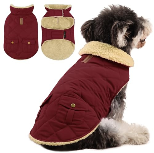 Queenmore Abrigo Perro Pequeño Impermeable Caliente para Invierno