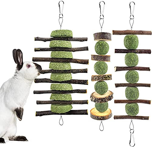 ERKOON Kaninchen Hamster Kauspielzeug, Hasen Beschäftigung Kleintiere Natürliche Timothy Heu Graskuchen Apfelstäbchen Zahnpflege Leckerlis Chinchilla Meerschweinchen Rennmäuse Kauen Molar Zubehoer