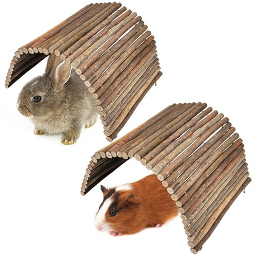 PINVNBY Meerschweinchen-Holzleiter, Brücke, Kaninchenversteck für Haus, Tunnel, Nagetiere, Kauspielzeug für Kaninchen, Chinchillas, Igel, Frettchen, Ratten und Kleintiere, extra groß (50,8 x 30 cm), 2