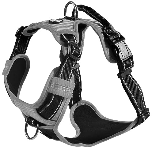 Bobby Rando Walk - Harnais pour Chien, Moyen Petit Grand en Nylon, Sûr, Confortable, Réfléchissant, Ajustable, Gris, S/32-48x1,6 CM