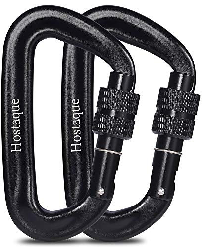 Karabiner, 12KN 1200kg Aluminium Ultra Robust & Leicht karabiner klein, Schwerlast Karabiner für Hängematte, Camping, Angeln, Wandern, Schlüssel, Yoga-Schauke, Hunde Sperren (2er Pack)