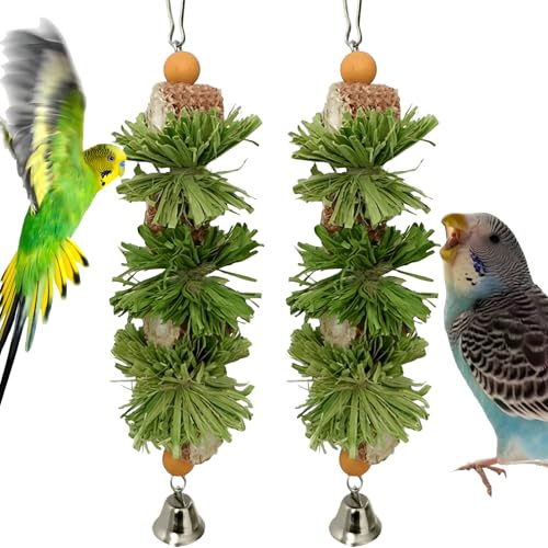 widenlise 2 Pcs Bird Toys, Bird Shredding Toys, Parrot Chewing Toys, Cockatiel Toys, Include Natural Corn Cob Bells, Hanging Foraging Shredder Toy for Parakeets Budgies, Conures, Finches (Green)