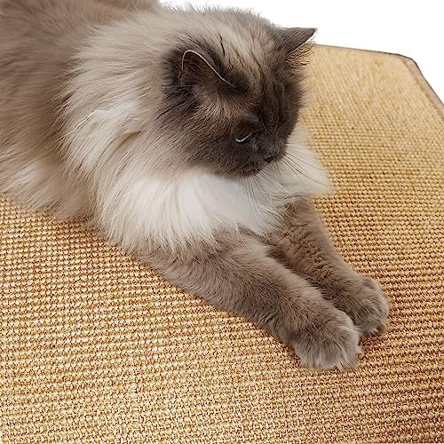 Carpido Kratzmatte für Katzen - Fußmatte Sisal Kratzteppich - natürliche Sisalmatte robust - Vorleger aus 100% Sisal - Katzenkratzmatte beige 60 x 80 cm