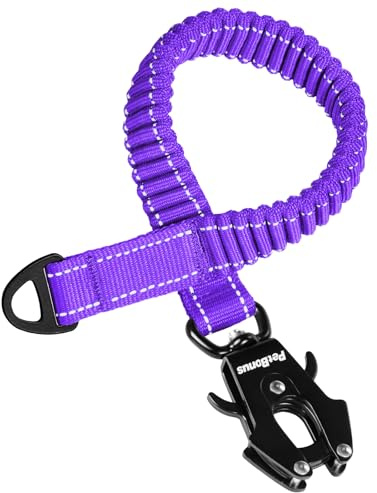 PetBonus Extension de Laisse élastique pour Chien, Absorption des Chocs