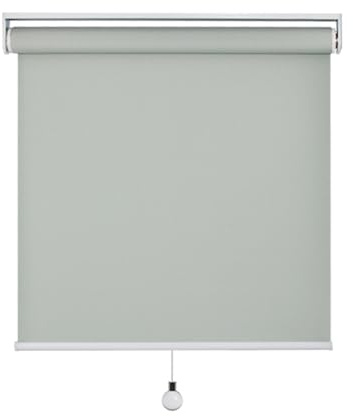Springrollo - Tenda oscurante a rullo senza fili, impermeabile, protezione dai raggi UV, tessuto filtrante e oscurante, dimensioni e colori personalizzati larghezza x altezza (100 cm x 190 cm)