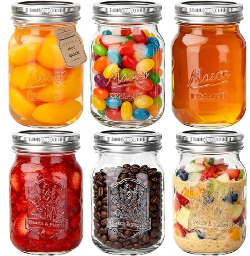 HYCKee 480ml 6 Pack Mason Glass Jars with Airtight Lids and Bands, Embossed Design Canning Jars, Regular Mouth Glass Jars for Pickling, Meal Prep, Freezing, Fermenting, Preserving, Jar Décor