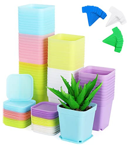 Moendergo 60 Pots de Pépinière, Pots Carrés en Plastique pour Semis, Pot de Plantes d'Intérieur avec Plateaux et Étiquettes pour Succulentes, Sansevière, Aloe Vera (Couleurs Assorties)