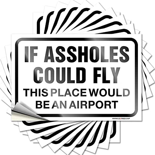 Dekal för dig gjorde det psykisk hälsa medvetenhet uv-resistent om s kunde flyga denna plats skulle vara en flygplats | veckodag bra jobb klistermärken för vuxna (8 x 12 cm – 5 st)