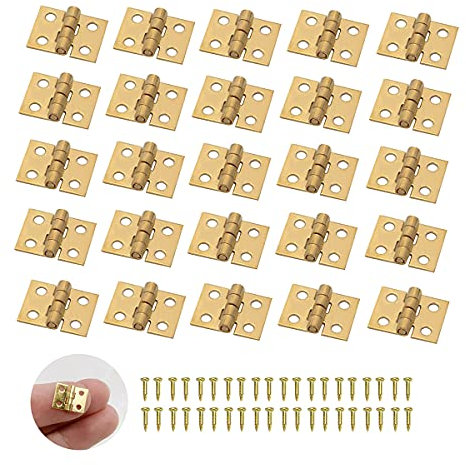 XNJIHWA Lot de 50 mini charnières miniatures pliables pour modélisme avec 200 vis
