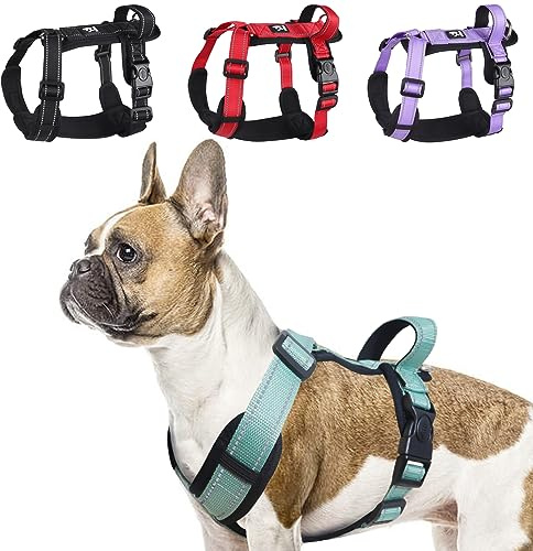 LiebeDD hundsele grön M – bröstsele hund liten reflekterande anti-drag-hundsele hund dragsele vadderad med handtag hundsele för valpar små och medelstora hundar