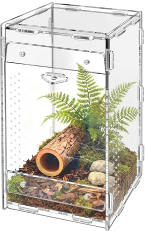 Hoppspindel terrarium Reptil Genomskinligt Terrarium | Fågelspindel levnadsmiljö För Tarantula Skorpion Spindel Mantise Mantis Gecko Bostad Resande Vardagsrummet Kontoret