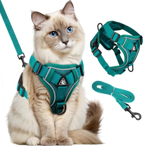 GlasFlength Harnais pour Chat avec Laisse Anti-éclatement, Laisse pour Cha t avec Harnais réglable Harnai s Souple pour Cha t avec Bandes Réfléchissantes (Blau-L)