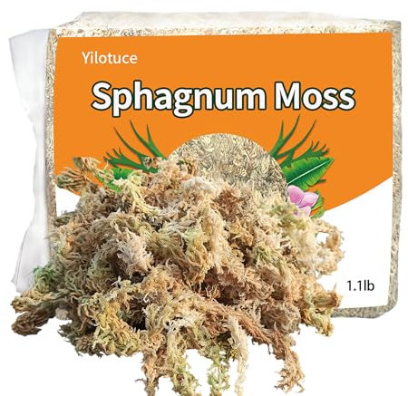Yilotuce Sphagnum Moos, 500 g spaghnummoss für Orchideen, Gutes Kultursubstrat für Orchideen, Geweihfarne, Pflanzensetzlinge, Bewurzelung von Stecklingen und Anderen Pflanzen