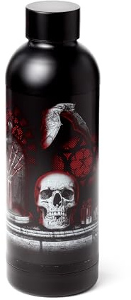 Puckator Gothica Hot & Cold Drinks Bottle 530ml - Reusable Insulated Active Water Bottle Flask For Girls And Boys With A Carry Handle & Straw - Bpa Free - For School Nursery