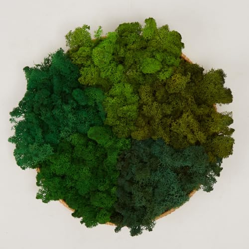 prefleur Preserved Reindeer Craft Moss Natural Green DIY Kit Garden Art Wall Decor Florist Easter Table Decor and Wedding Decor (11lbs/06kg)(Green-02/06/13/14/15), Style 20