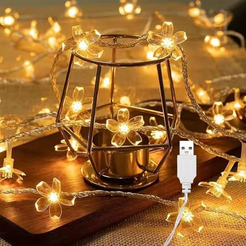ENLACE LED ljusslinga med körsbärsblomma, USB-driven, 3 meter, 20 varmvita lysdioder, inomhusbelysning