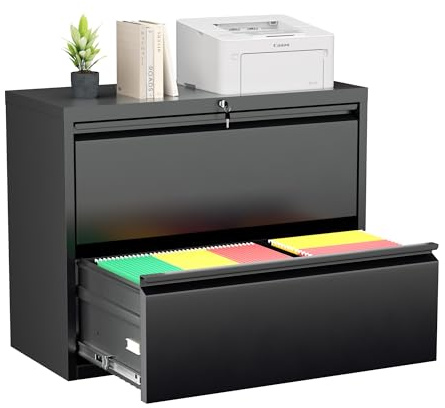 Greenvelly 2 Drawer File Cabinet, Black Lateral File Cabinet with Lock, Filing Cabinet for Home Office, Lockable File Cabinets for Legal/Letter/A4/F4 Size with Hanging Files&Key