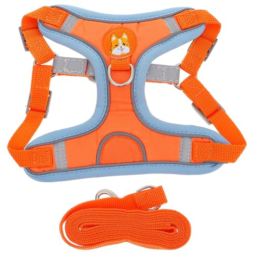 Gadpiparty Pettorina per Cani Piccoli con Guinzaglio Resistenti e Traspirante Imbracatura per Cuccioli con Fibbia Durevole e Design Confortevole Accessorio per Passeggiate e Addestramento