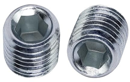 Premium Madenschrauben - M6x10-20 Stück - Wurmschrauben Innensechskant-Antrieb - Madenschraube - Sechskantschraube - Gewindestifte mit Kegelkuppel - rostfrei