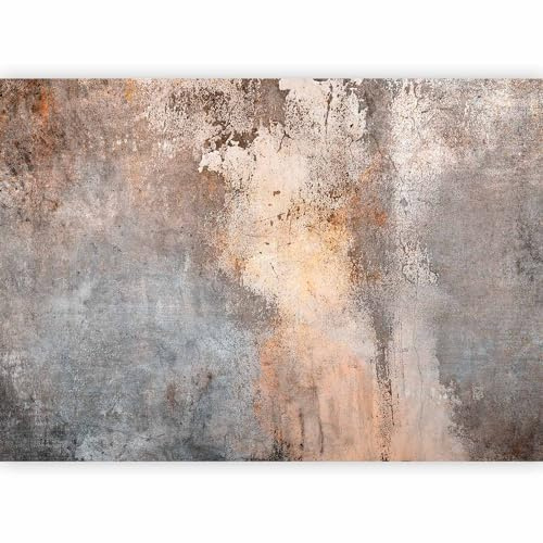 murando - Papier peint panoramique artistique 450x315 cm - Revêtement mural décoration pour chambre salon - Design moderne - Beige marron - Texture de fond de rouille en béton f-C-0483-a-a