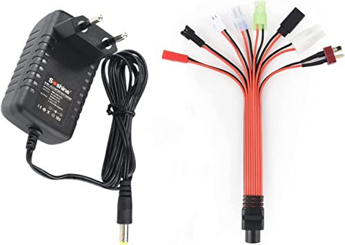 Aliwisdom Cargador baterías Universal para Batería Nimh & Nicd 2,4V-12V (2-10S) con SM 2P, Tamiya/KET 2P, XH 2.54 2P, Mini Tamiya, Huanqi, JST, Futaba/JR, T Plug Conector Enchufe Cable para Coche RC