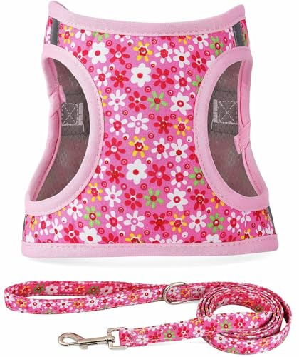 Moonpet Step in Air - Juego de Correa de arnés para Perro, para Todo Tipo de Clima, Reflectante, sin tirones, con patrón Floral, Acolchado, Chaleco de Malla para Gatos, Cachorros, Extra pequeños,