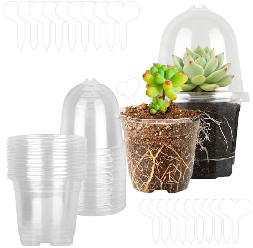 20 stycken klara odlingskrukor, 15,5 cm odlade krukor, transparent plastblomkruka, återanvändbara odlingskrukor med lock och växtskyltar, med 20 fuktkoppling och växtetiketter