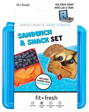 Fit & Fresh Divided Carrier with Removable Ice Lunch Pack, 5.75 x 6 x 3.625, Colors may vary
