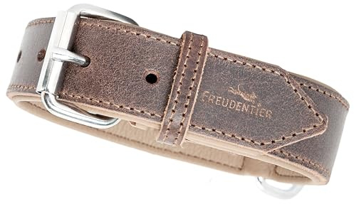 FREUDENTIER Hundehalsband aus Leder - Gepolstert & super komfortabel - Made in Holland - Hunde Halsband inkl. Geschenksäckchen - Amstelpark Kollektion (25.5-33.5cm, Dark Chocolate)