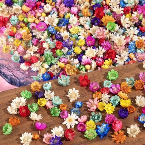 600Pcs Colored Resin Dried Flower Crafts | Small and Delicate Dried Flower Candle Making, Dry Embossed DIY with Your Friends, Mini Natural Flowers Beautify Your Nails
