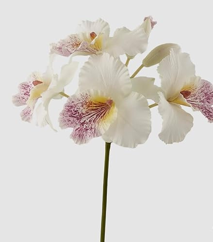 EDG Enzo De Gasperi Orchidea Cattleya Duke Ramo x4 e 2 Boccioli Artificiale H 43 Cm White Violet
