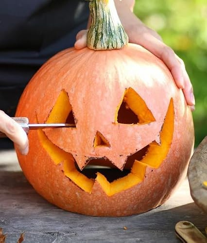Semi Zucca Jack O’Lantern – 15 Semi | Zucca Intagliabile per Halloween | Varietà Arancione Decorativa | Ideale per Orto e Giardino