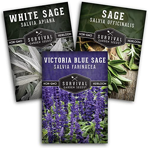 Survival Garden Seeds Sage Collection Seed Vault - White, Culinary & Victoria Blue Sage (Salvia Apiana, Officinalis, Farinacea) - Non-GMO Heirloom Seeds for Your Garden
