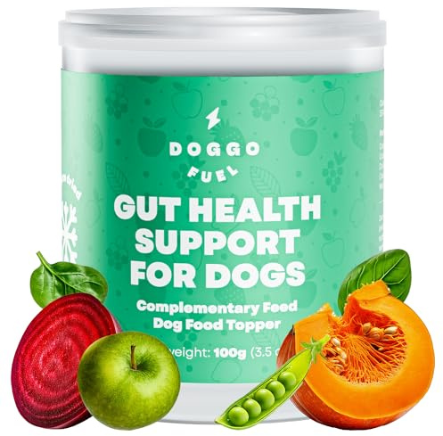 Doggo Fuel Natural Freeze-Dried Dog Food Topper with Pumpkin, Spinach & Beetroot - Fiber-Rich Digestive Support Powder for Healthy Dog Gut Health - Easy-Mix Meal Enhancement for All Breeds & Ages