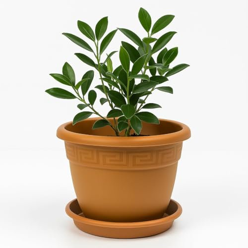 TECHZOCO Macetero con Plato, Maceta Redonda clásica de plástico con Plato, Tiesto para Plantas, Fabricado en Polipropileno, 29 cm Altura x 35 cm Diámetro Superior x 16 cm Diámetro Base, Terracota